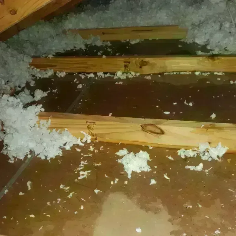 Attic Water Damage in King, WI