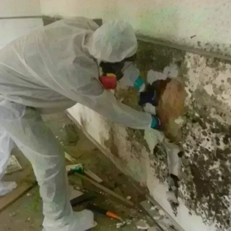 Mold Remediation and Removal in King, WI