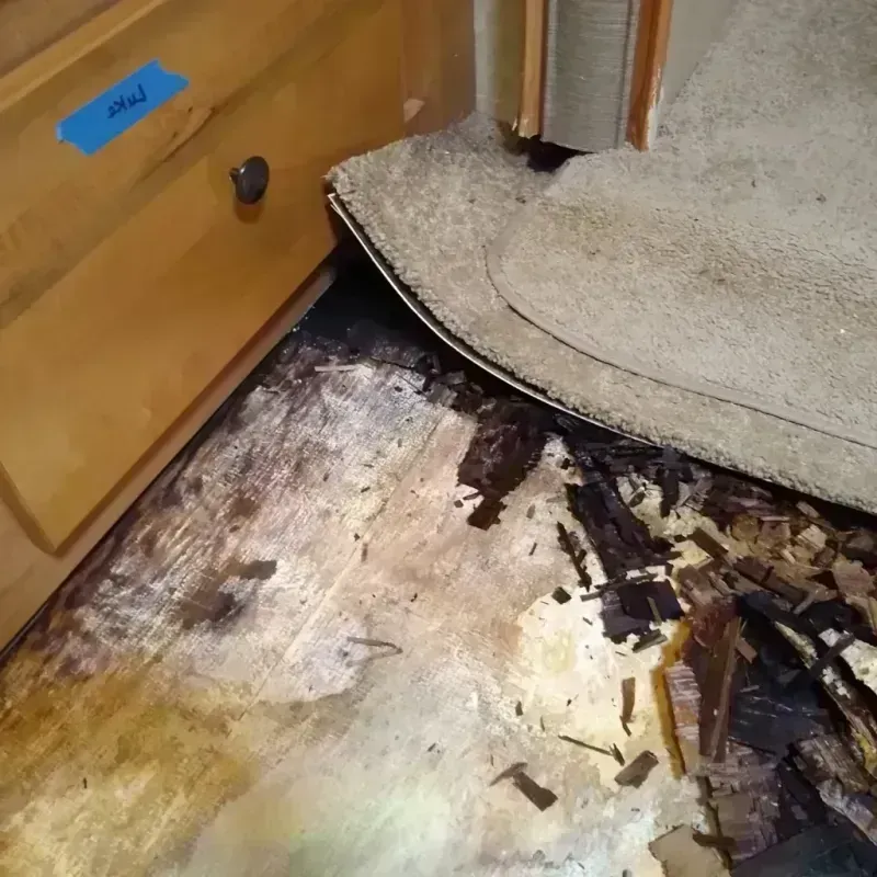 Wood Floor Water Damage in King, WI